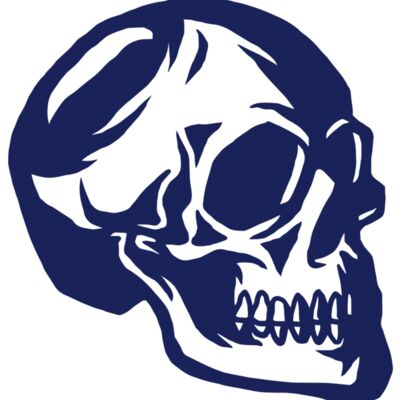 Elements Skulls logo template 139 Thumbnail